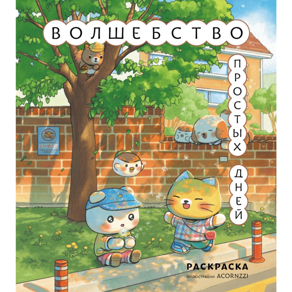 Раскраска "Волшебство простых дней", илл. Acornzzi