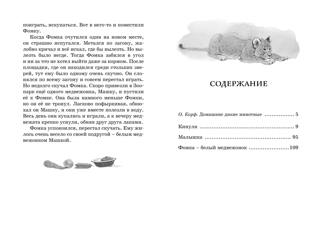 Книга "ЧЛУ. Фомка - белый медвежонок", Вера Чаплина