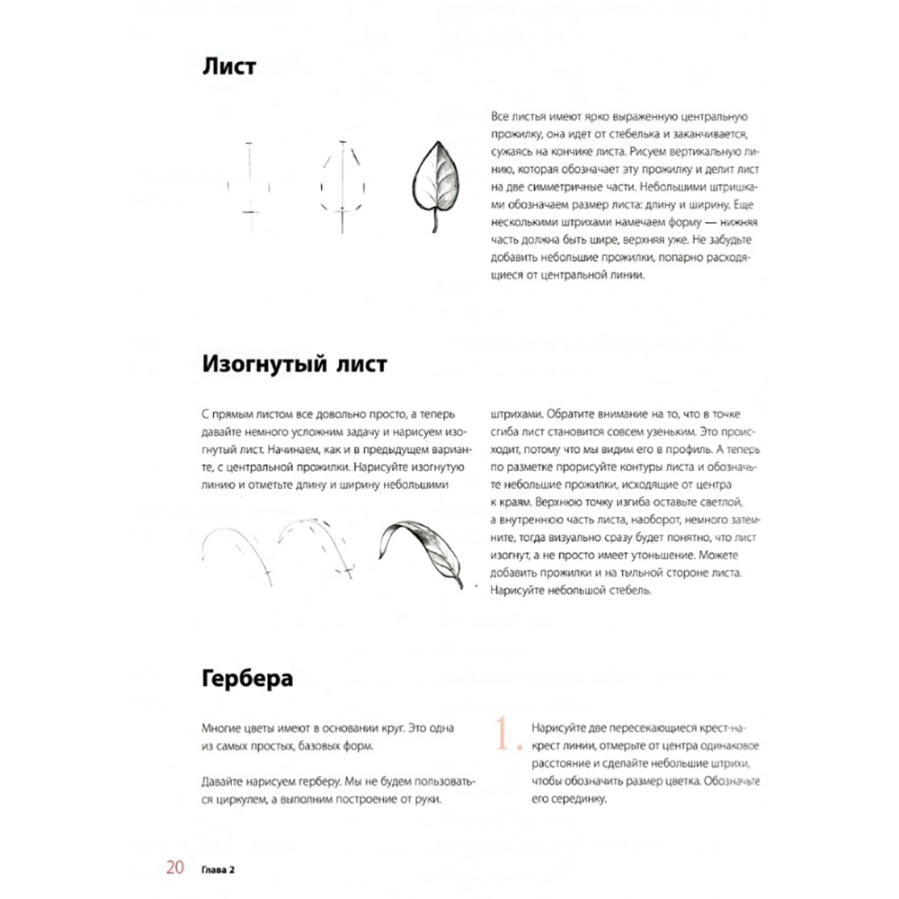Книга "Пишем пионы, розы и другие цветы акварелью. Пошаговые мастер-классы по живописи", Татьяна Лаптева - 5
