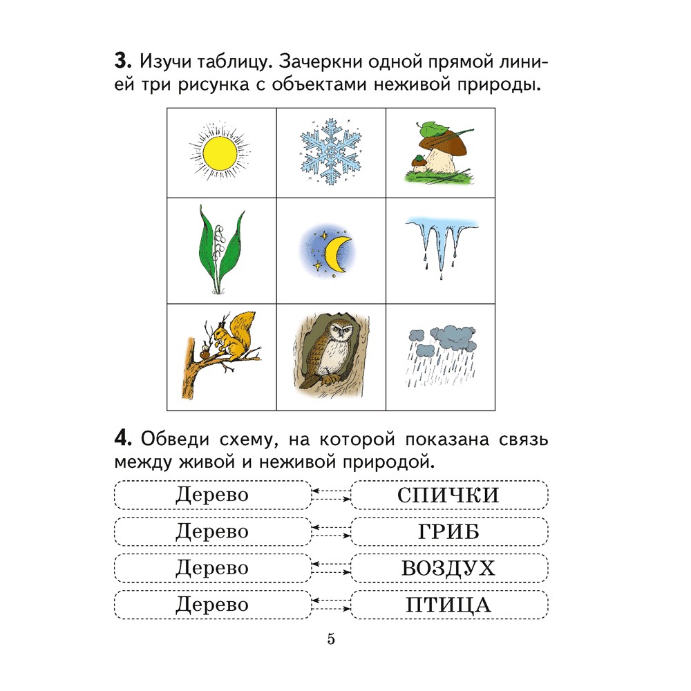 Человек и мир. 2 класс. Практикум (с цветными иллюстрациями), Трафимова Г. В., Трафимов С. А. - 4