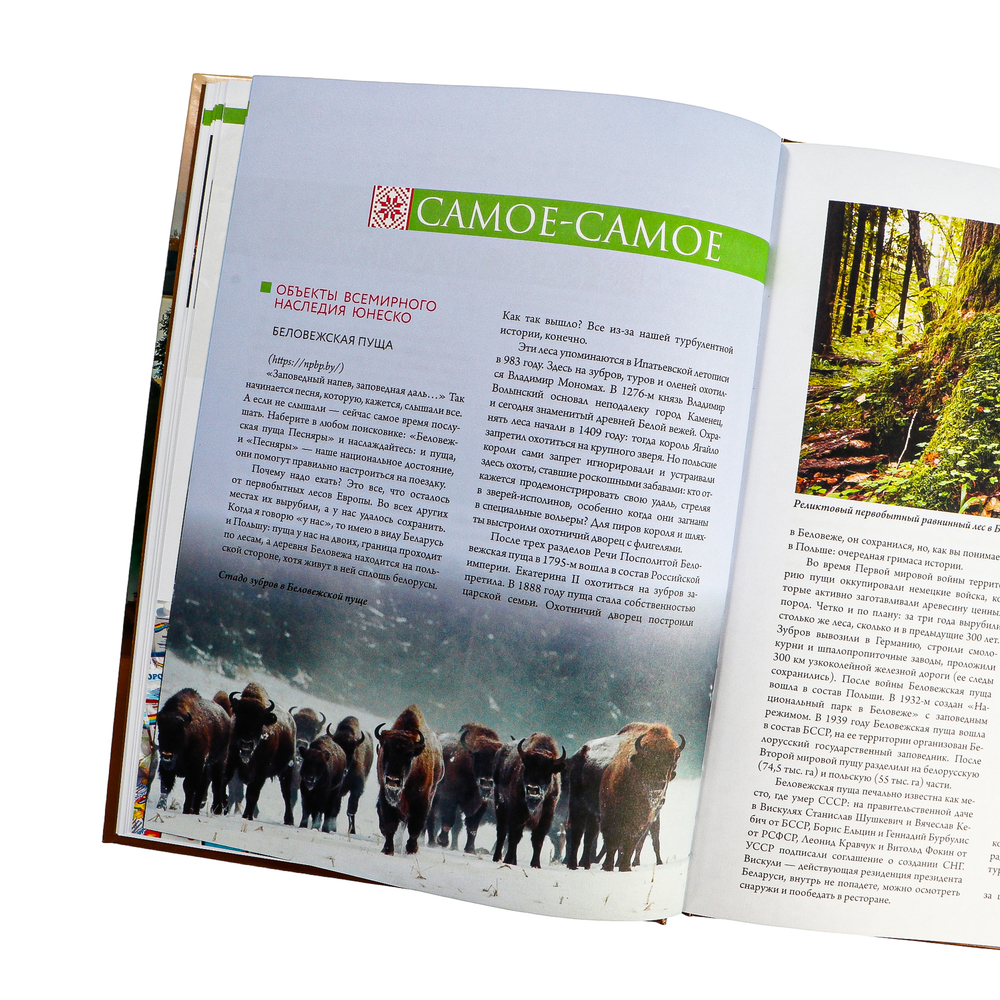 Книга "Республика Беларусь. Путеводитель для друзей", Плескачевская И. - 5