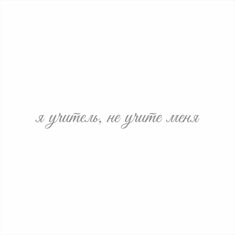 Набор подарочный "Я Учитель, не Учите Меня"  - 11