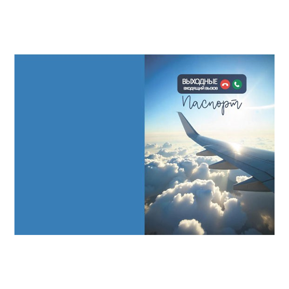 Обложка для паспорта "Выходные", голубой