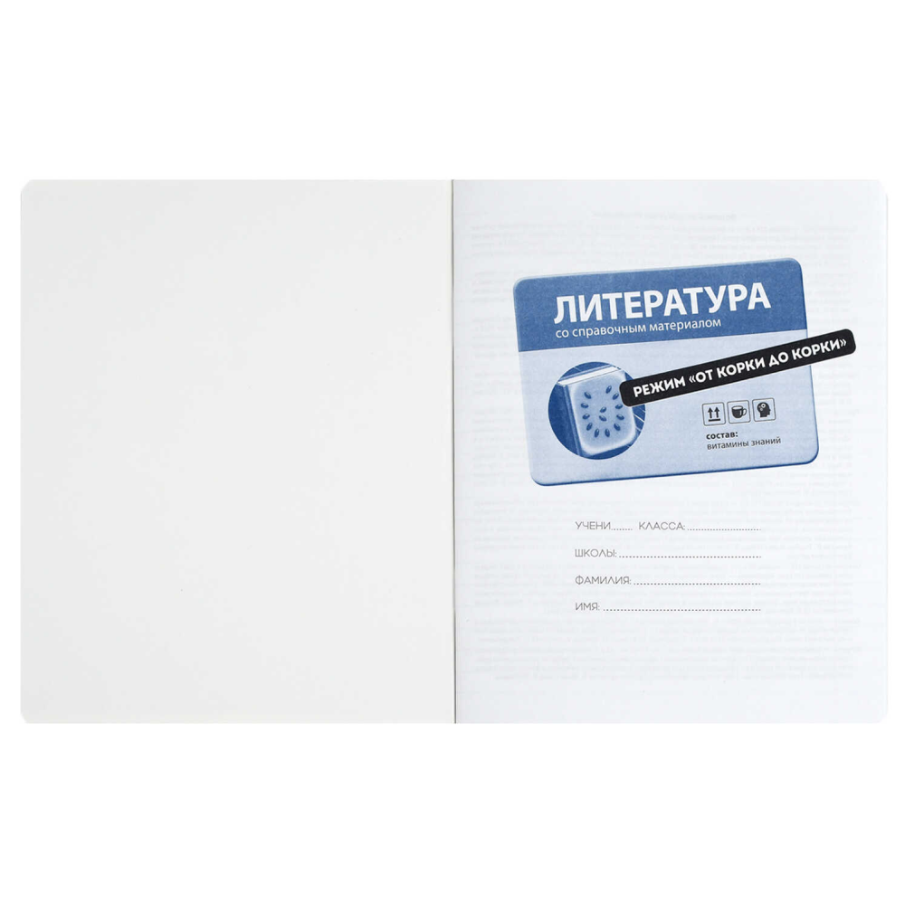 Тетрадь предметная "Режим "от корки до корки". Литература", А5, 48 листов, линейка - 3
