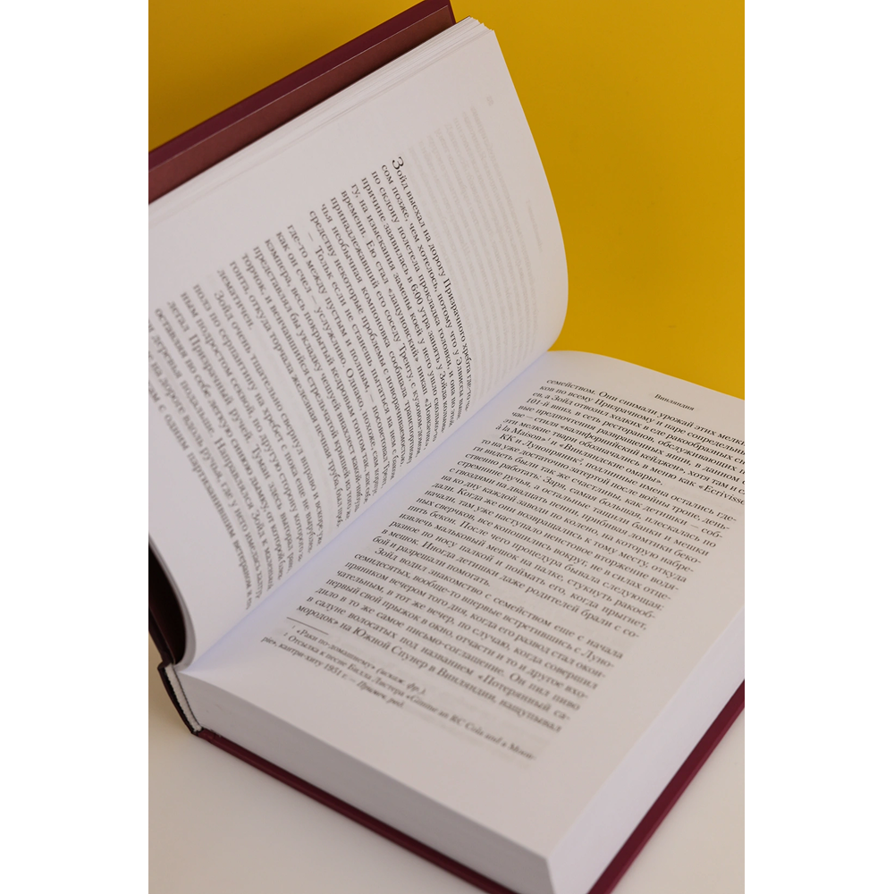 Книга "Винляндия", Томас Пинчон - 6