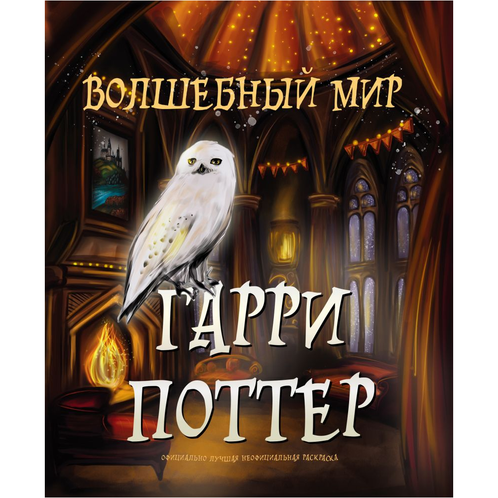 Раскраска "Волшебный мир Гарри Поттера"