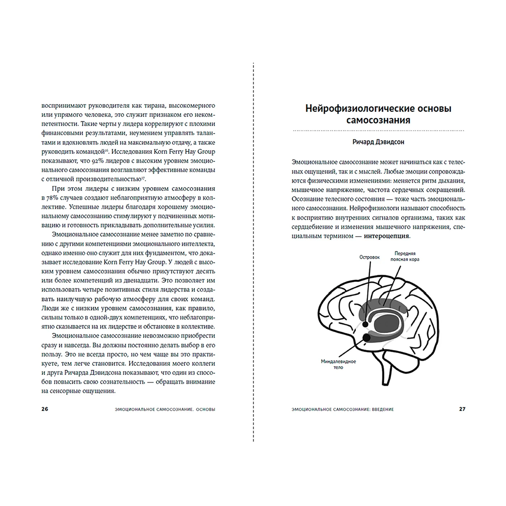 Книга "12 элементов эмоционального интеллекта: Как стать вдохновляющим лидером", Дэниэл Гоулман