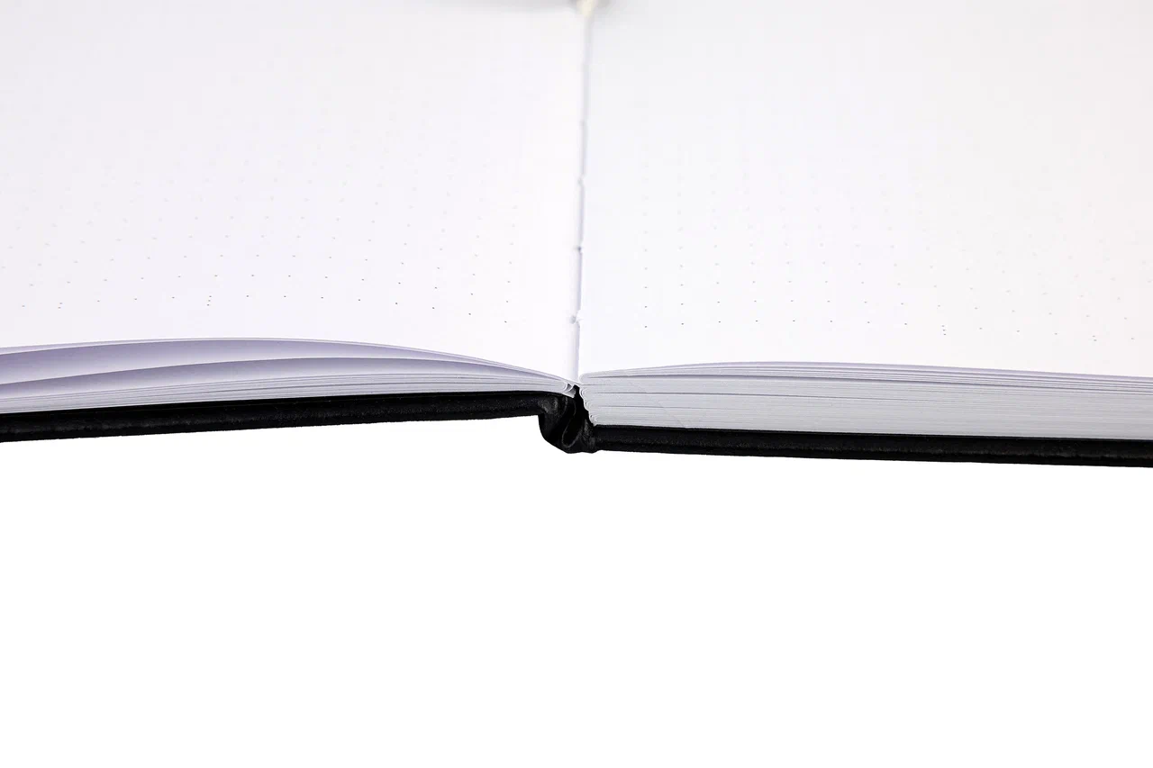 Блокнот "Стихия. Bullet Journal", А5, 80 листов, в клетку, черный - 14