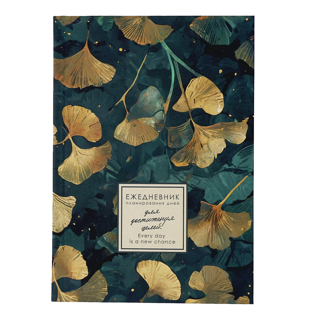 Ежедневник недатированный "Every Day. Dream", A5, 176 листов, морской - 4