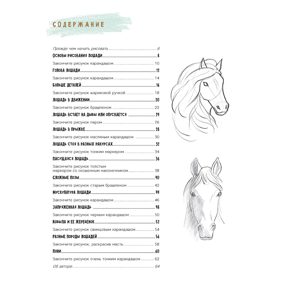 Книга "Скетчбук начинающего художника. Создаем наброски лошадей шаг за шагом. 50 проектов с подробными объяснениями и рисунками", Лиз Эрзог