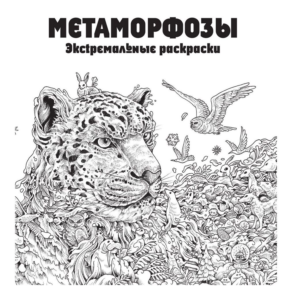 Раскраска "Метаморфозы" - 2