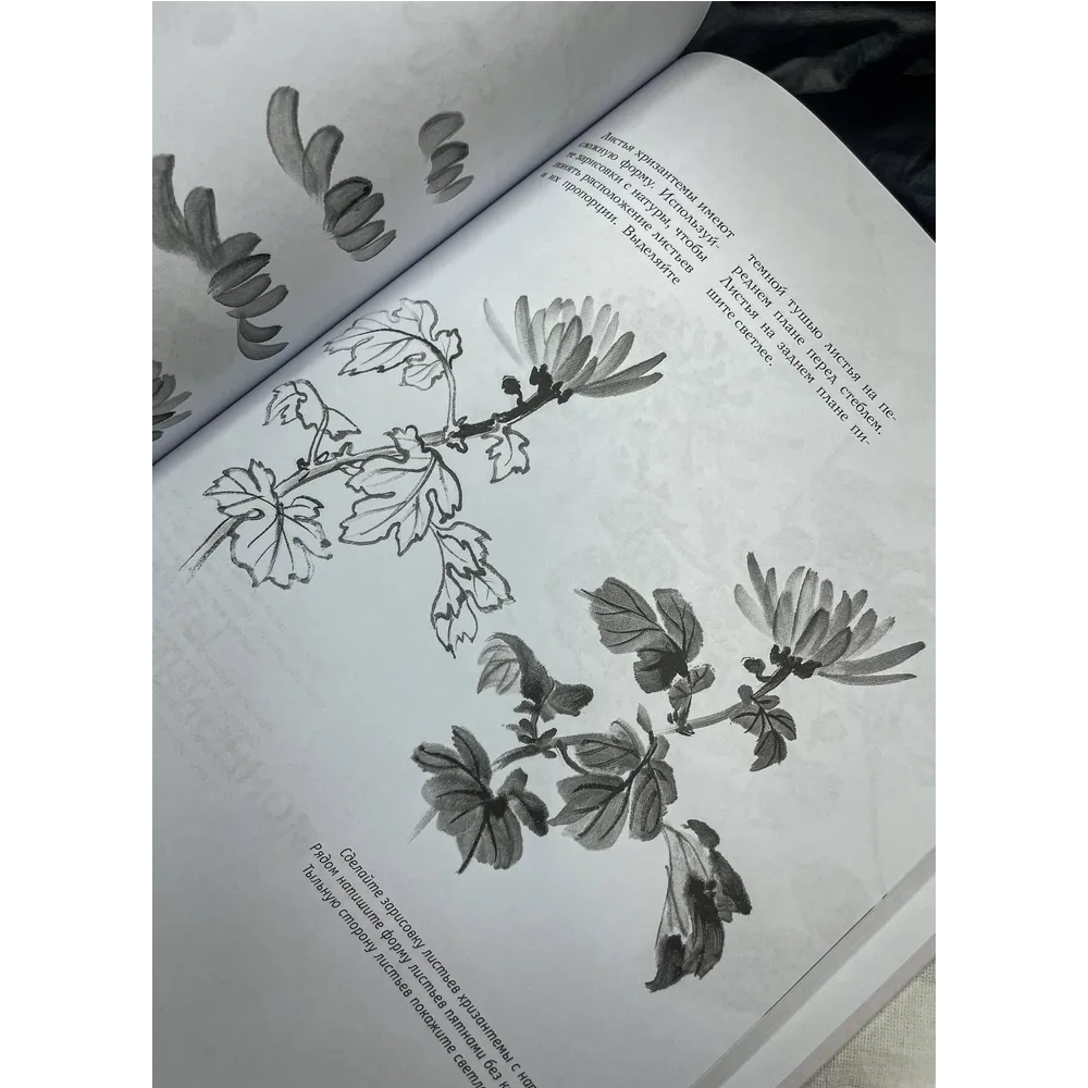 Книга "Основы японской живописи суми-э", Наталия Безвуляк - 4