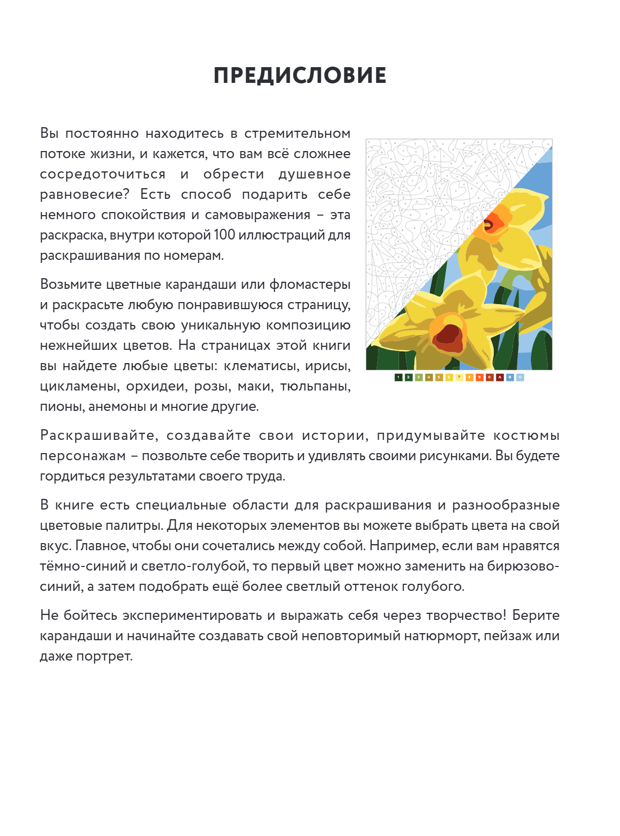 Раскраска-антистресс "Прекрасные цветы. Раскраска по номерам" - 16