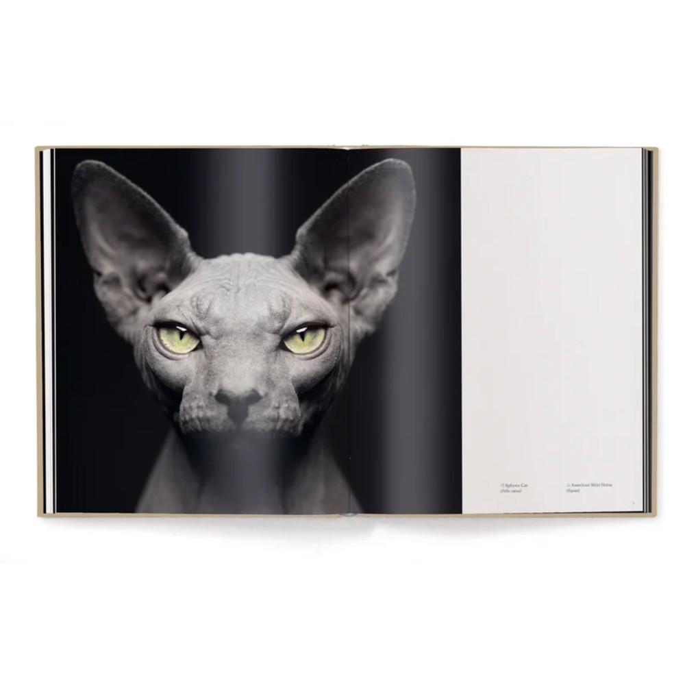 Книга на английском языке "Between Us. Animal Portraits" HB, Vincent Lagrange - 4