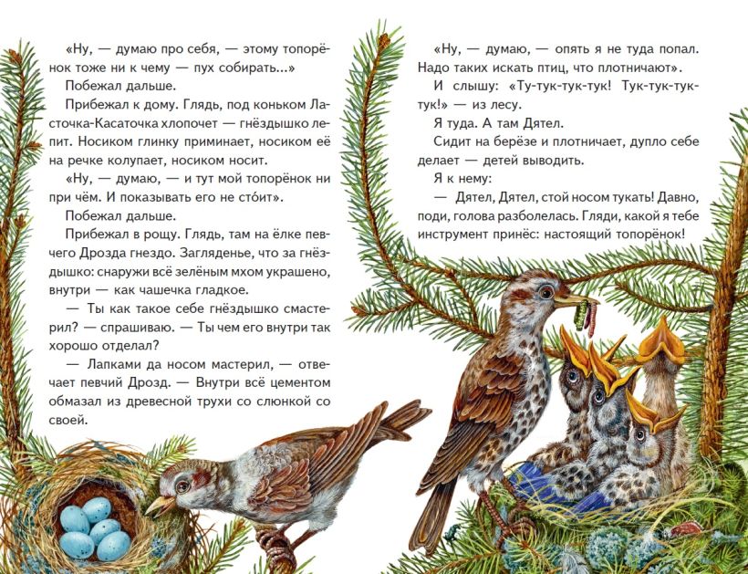 Книга "Книги для внеклассного чтения. Рассказы о зверятах (ил. В. и М. Белоусовых)" - 6