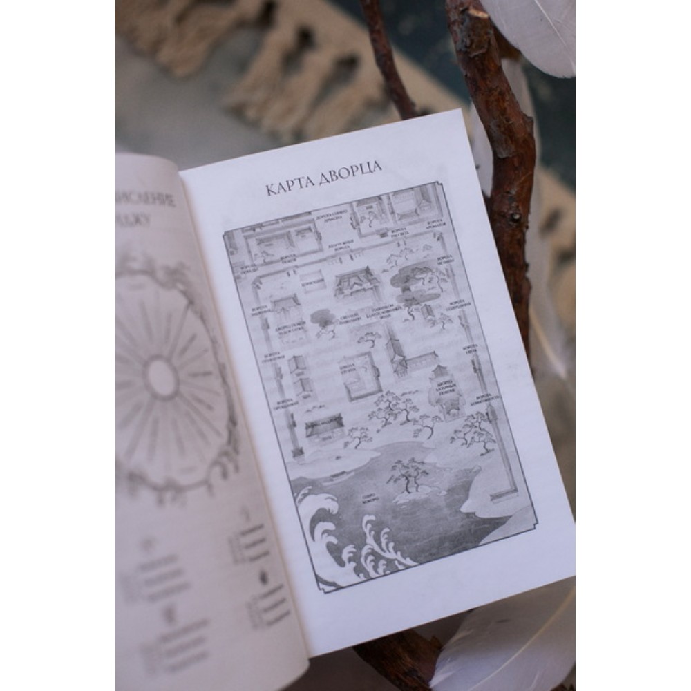 Книга "Киоко. Наследие дракона", Юлия Июльская - 5