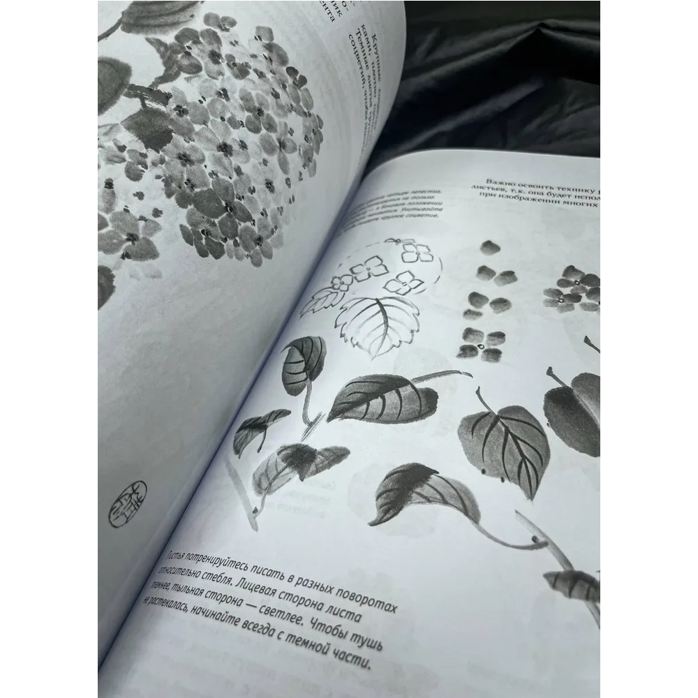 Книга "Основы японской живописи суми-э", Наталия Безвуляк - 3