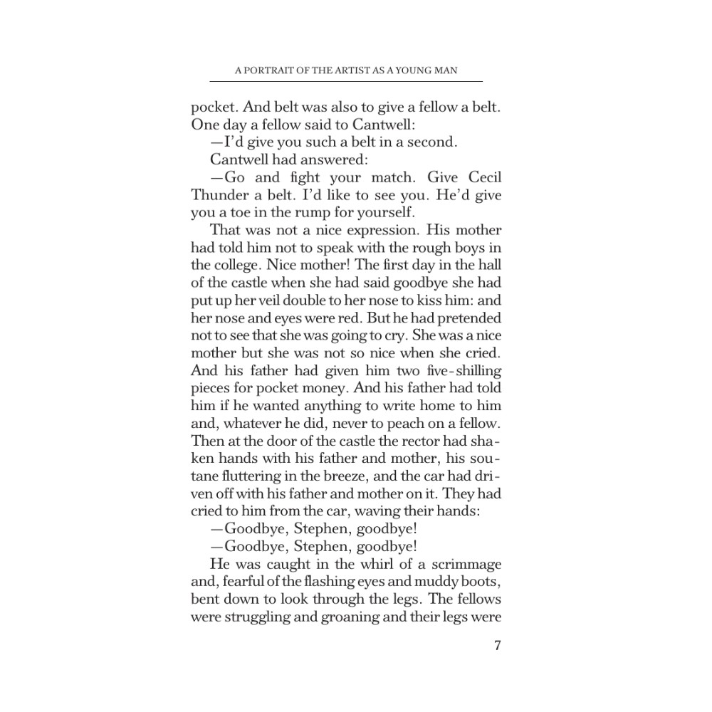 Книга на английском языке "A Portrait of the Artist as a Young Man", Джеймс Джойс - 3