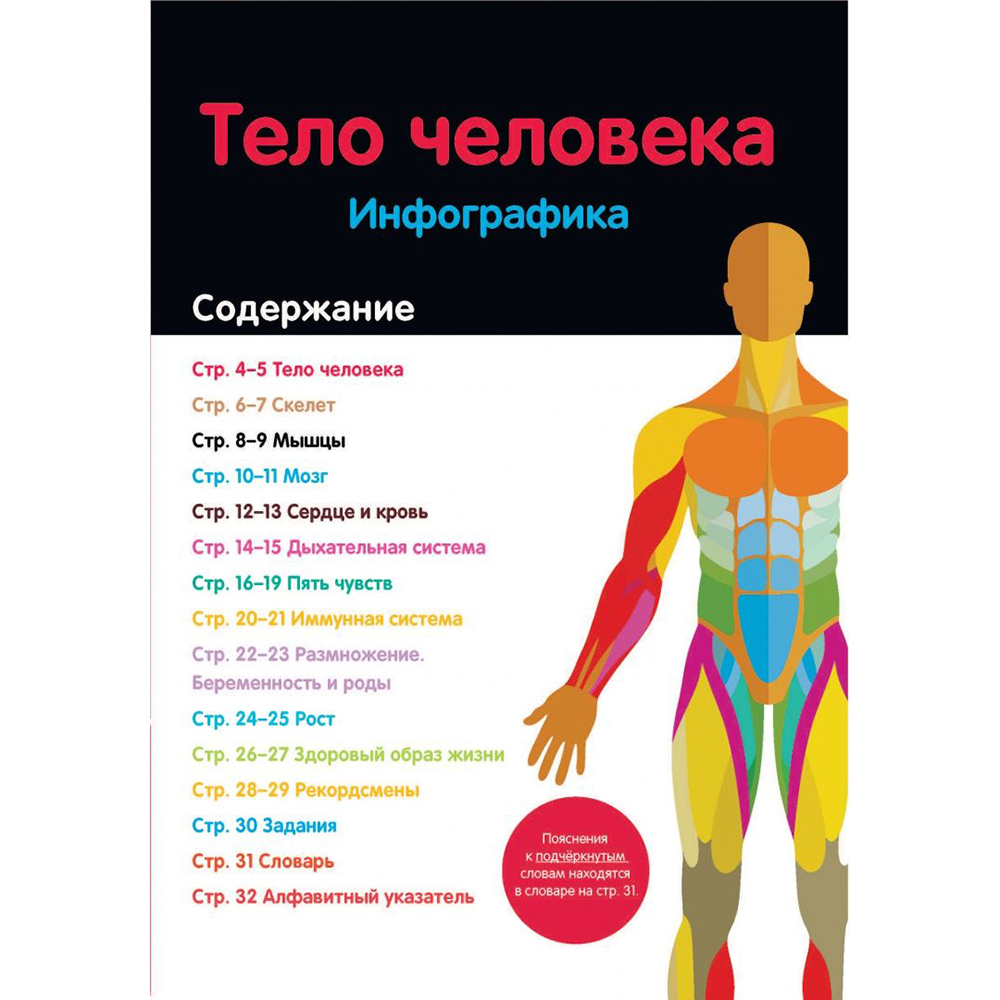 Книга "Тело человека: инфографика", Харриет Брандл - 3