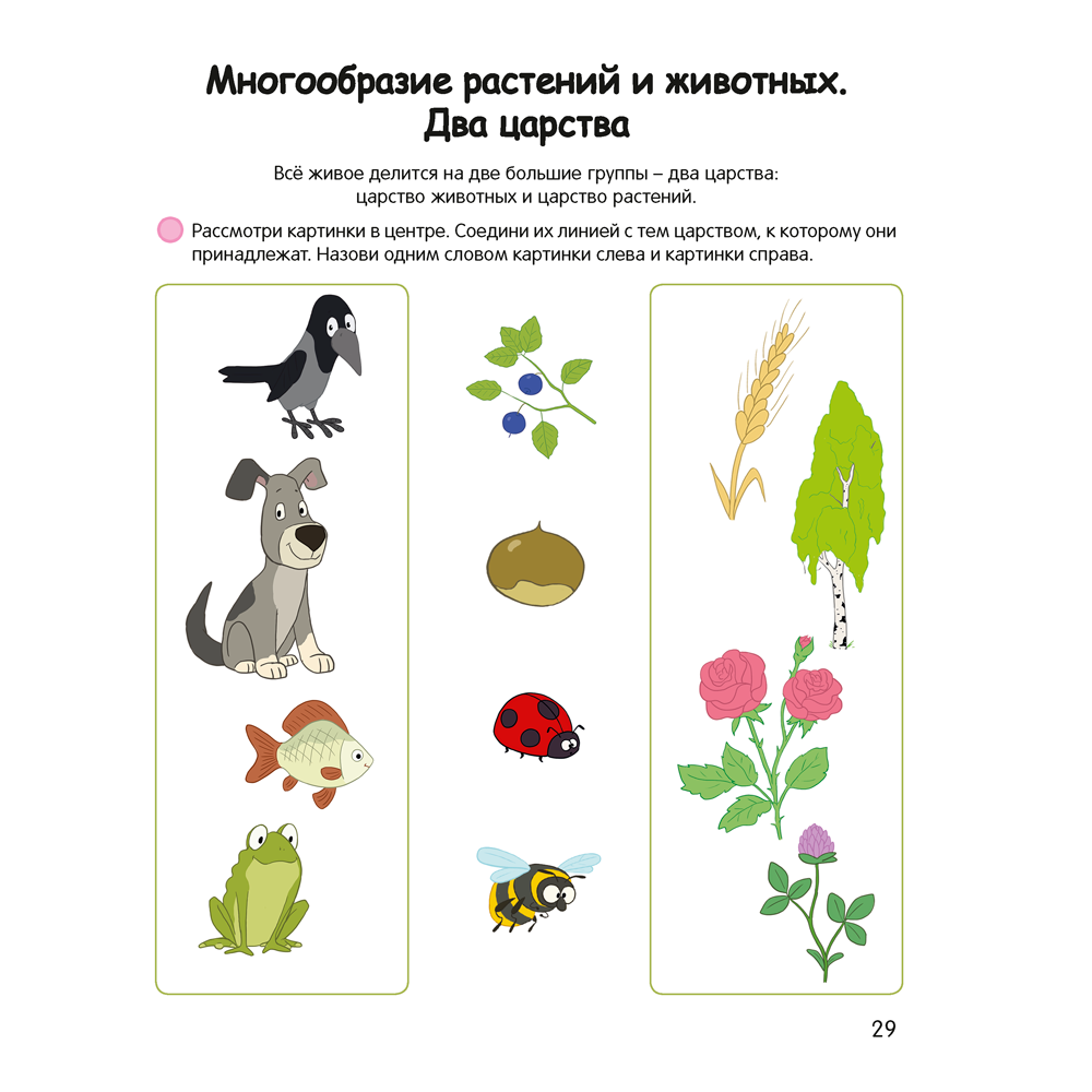 Книга "Умней-ка. 4-5 лет. Знакомство с природой", Петрикевич А. А. - 6