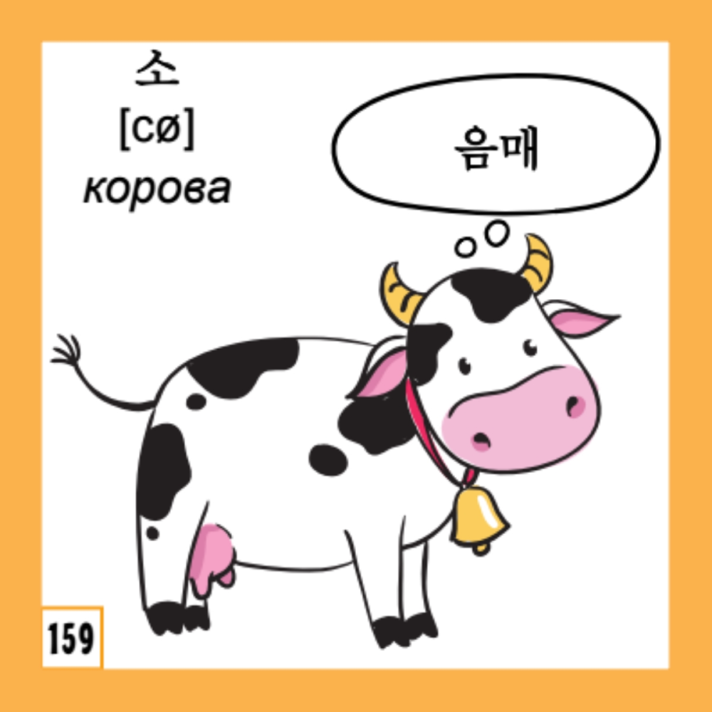 Флеш-карточки на корейском языке "500 самых нужных корейских слов и фраз" - 8