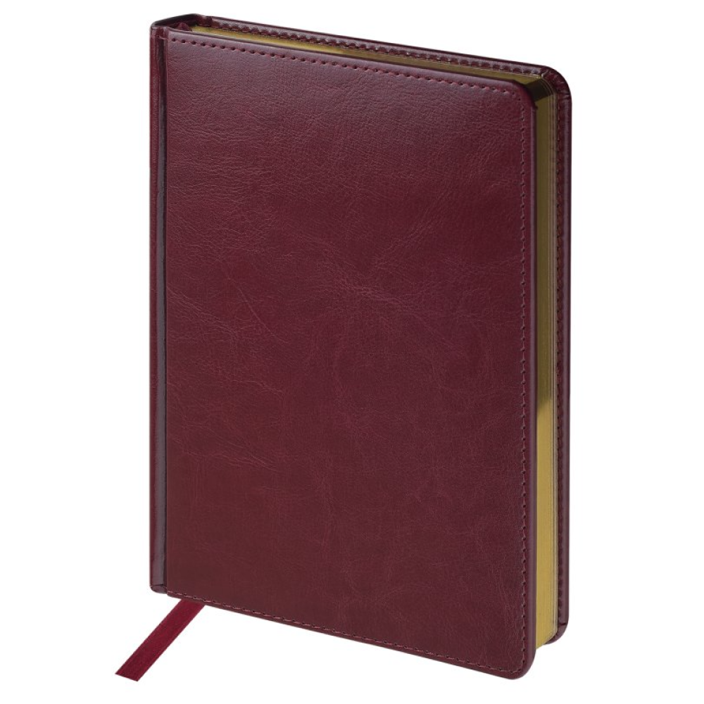 Ежедневник датированный А5 "Sidney Nebraska" 2026, бордовый, срез золотистый 
