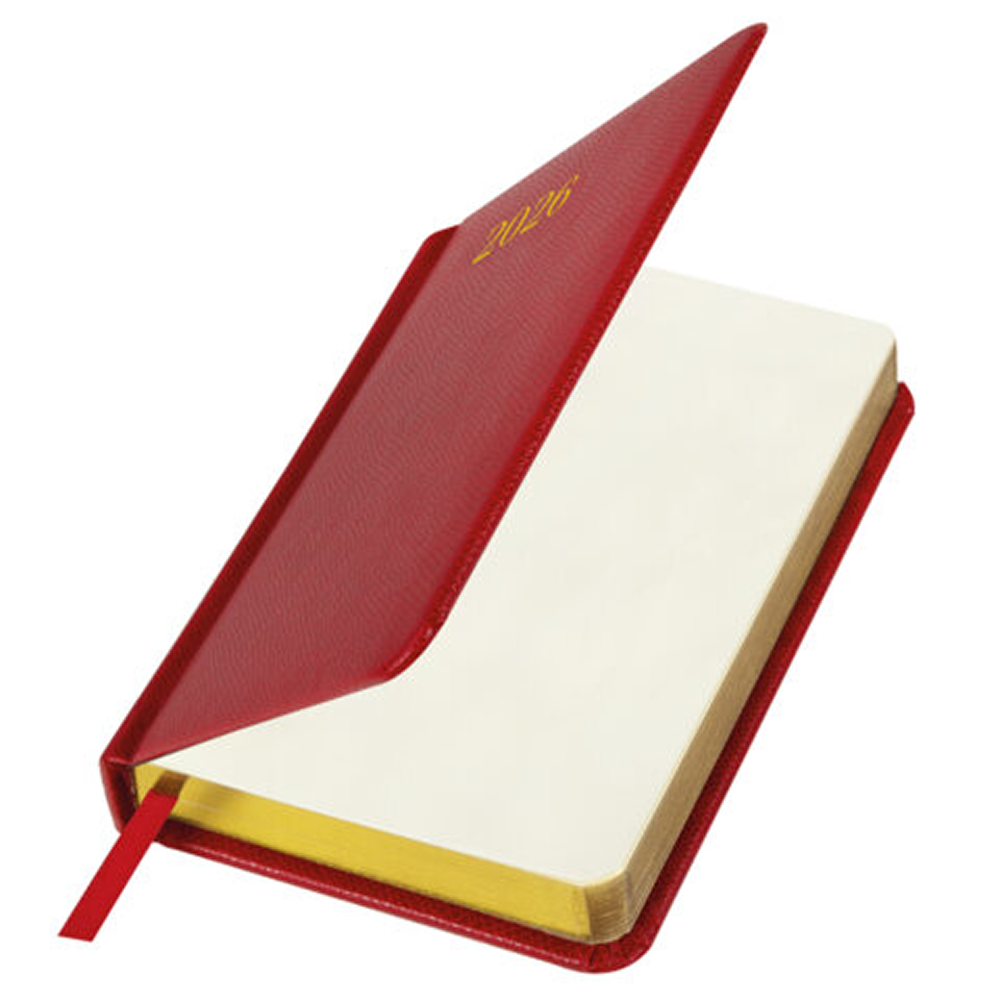 Ежедневник датированный "Iguana" на 2026 год, А6, 336 страниц, красный, срез золотой - 3