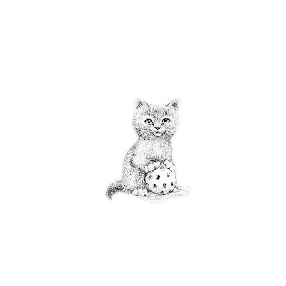 Книга на английском языке "Котёнок Одуванчик, или Игра в прятки = Smudge the Stolen Kitten", Вебб Х - 5