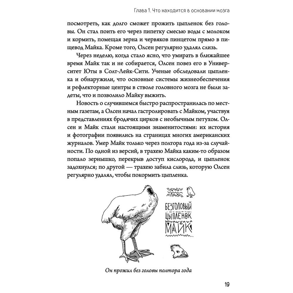 Книга "Автостопом по мозгу. Когда вся вселенная у тебя в голове", Белова Е. - 10