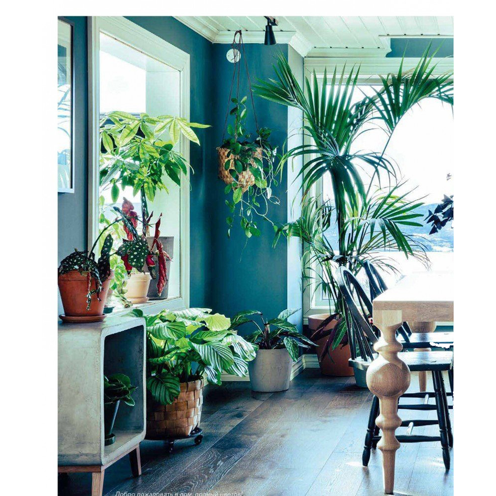 Книга "Urban Jungle. С любовью к растениям", Андерс Рёйнеберг, Эрик Шервен - 10