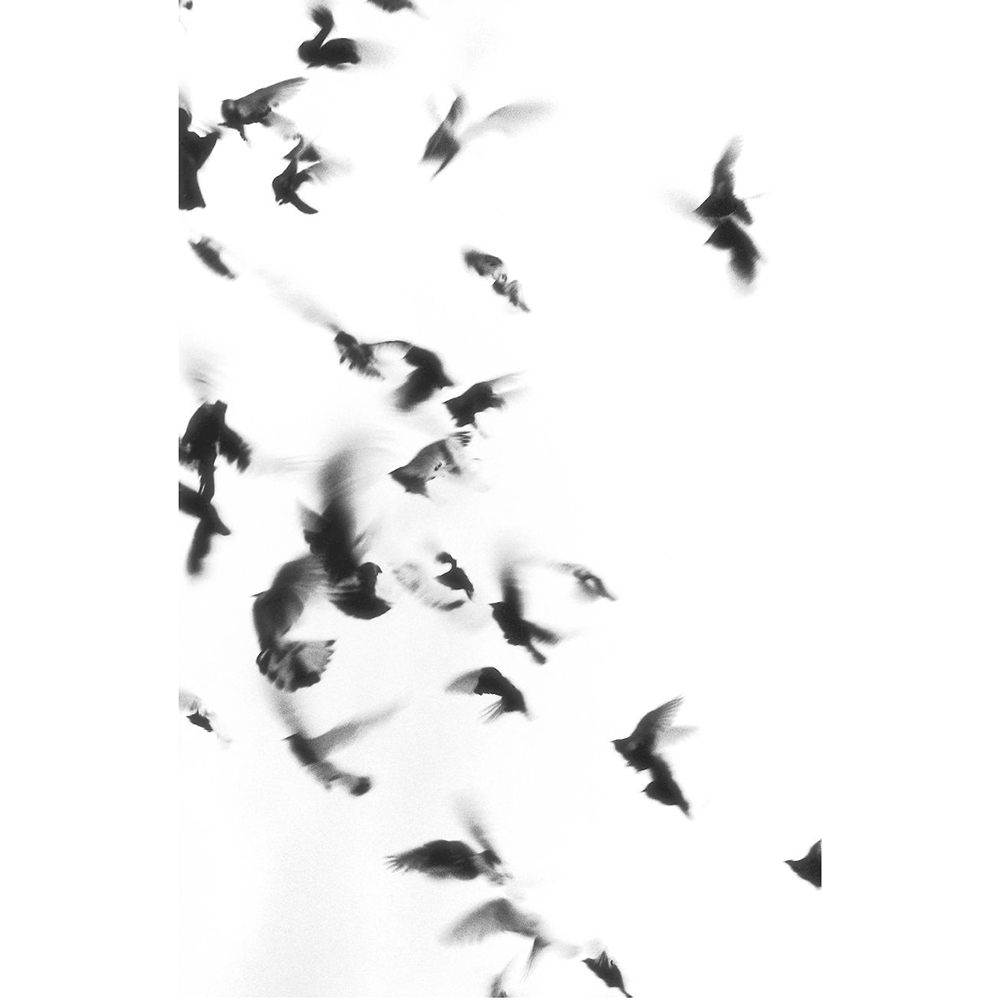 Книга "Жутко громко и запредельно близко", Джонатан Фоер - 3