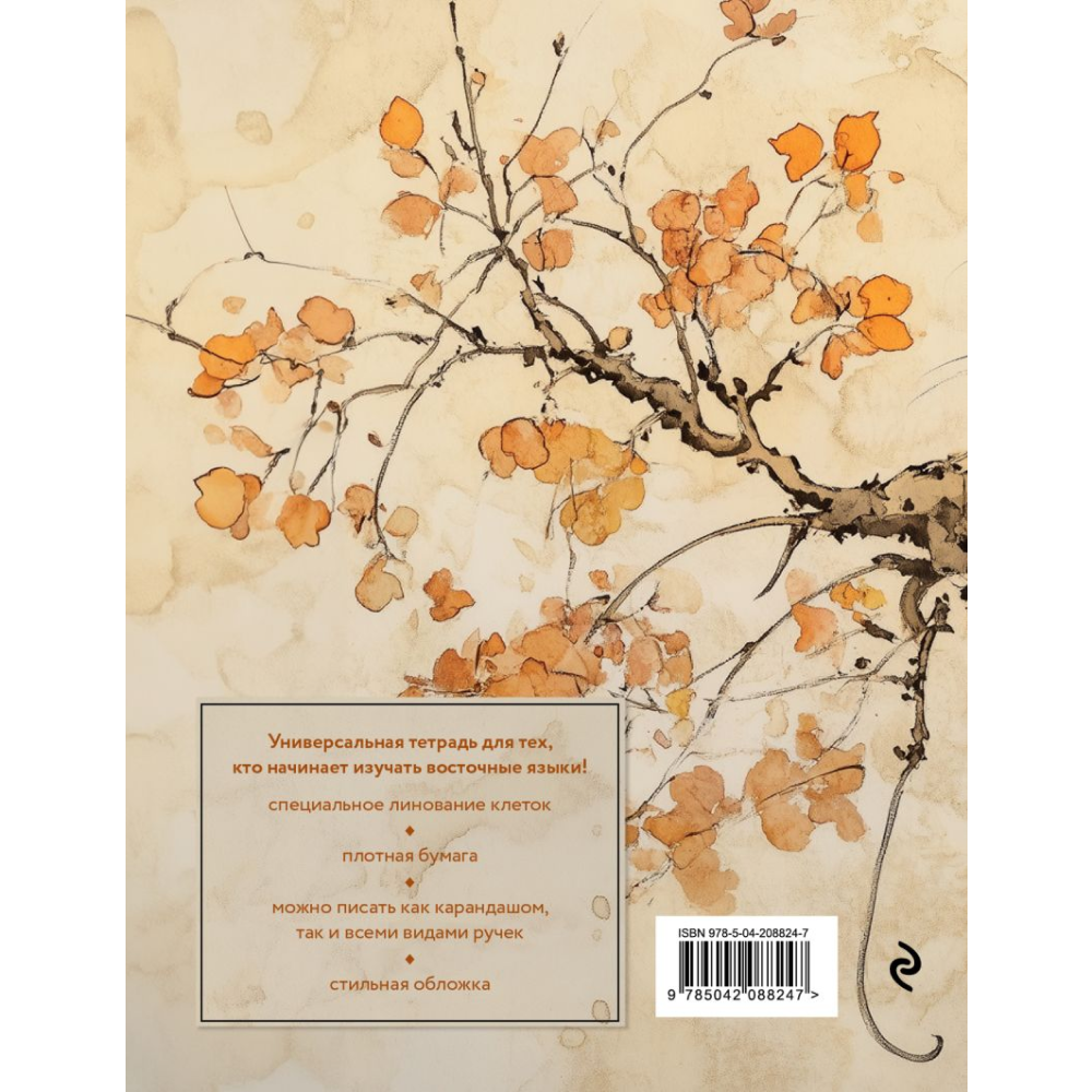Пропись "Тетрадь для иероглифов (рыжий котик)"