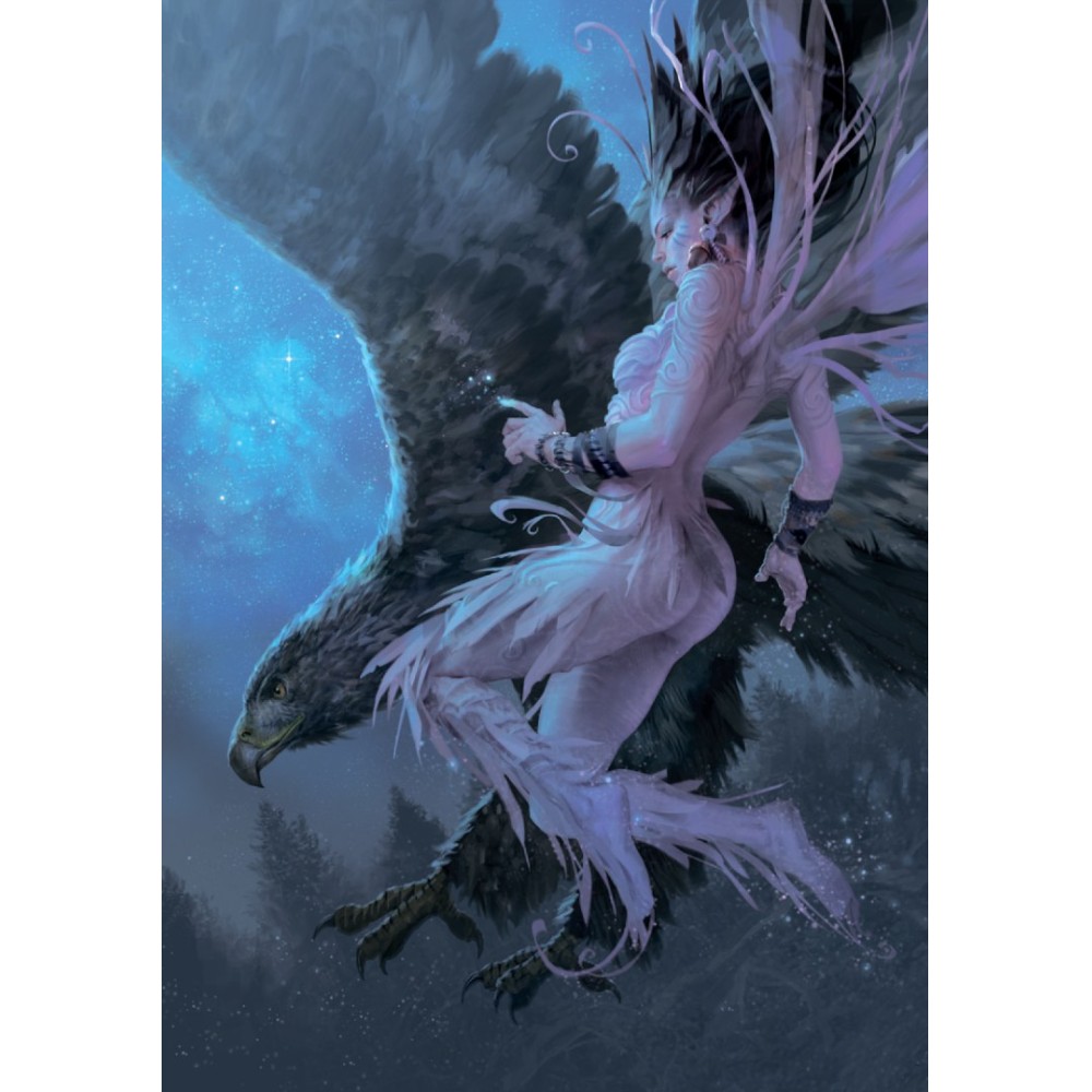 Книга "Ночные феи", Паоло Барбьери - 13