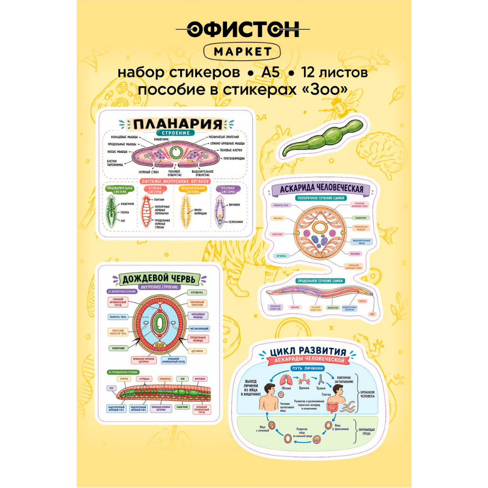 Стикерпак NALEPKING "Зоо", А6, 12 листов, 62 шт