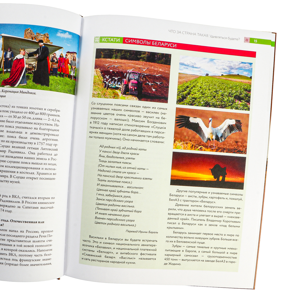 Книга "Республика Беларусь. Путеводитель для друзей", Плескачевская И. - 4