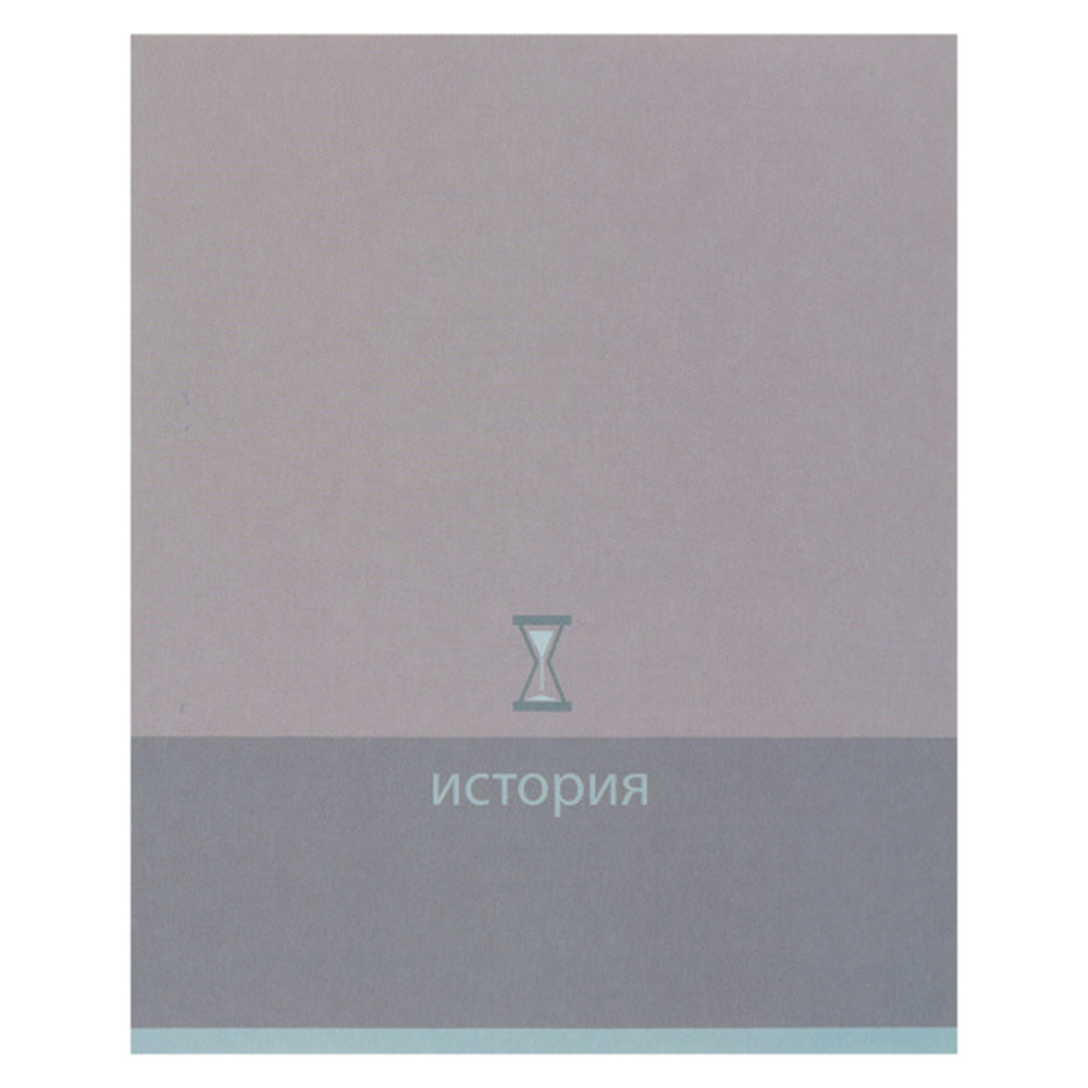 Тетрадь предметная "История. Pictogram", А5, 48 листов, клетка, серый