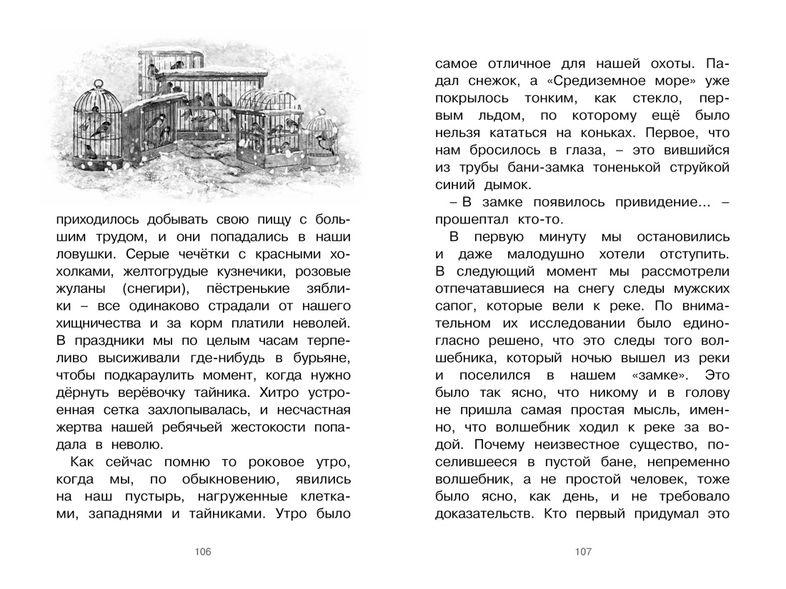 Книга "ЧЛУ. Серая Шейка", Дмитрий Мамин-Сибиряк - 5