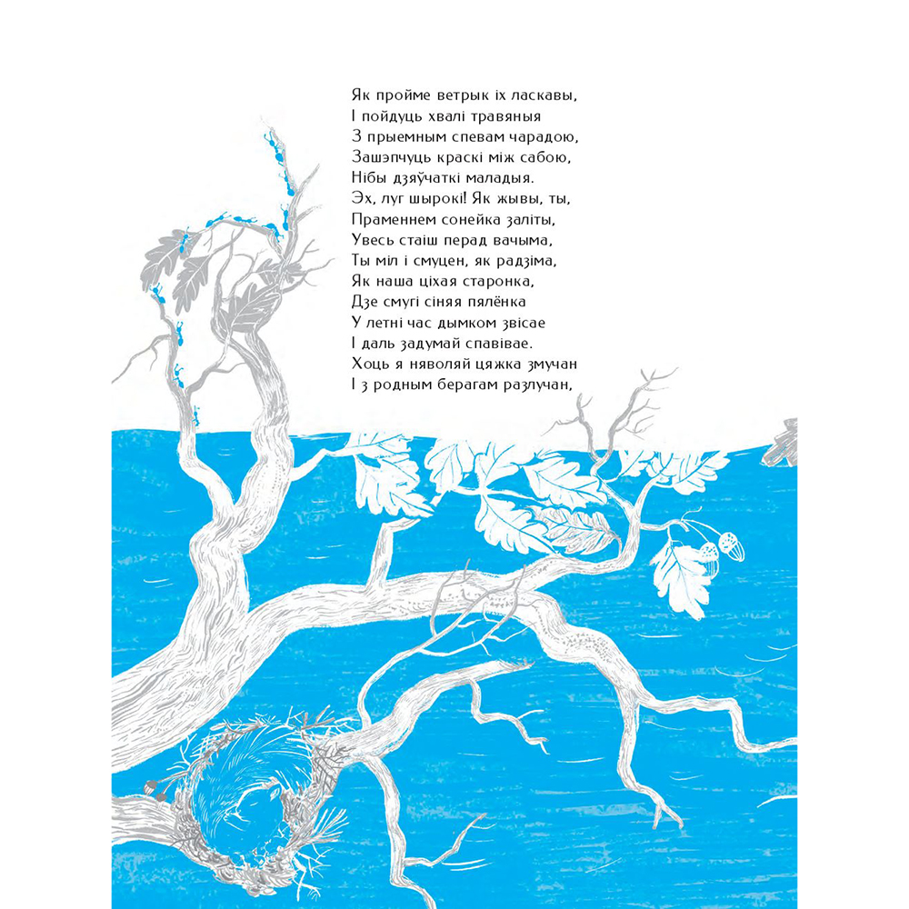 Книга "Новая зямля", Якуб Колас  - 8