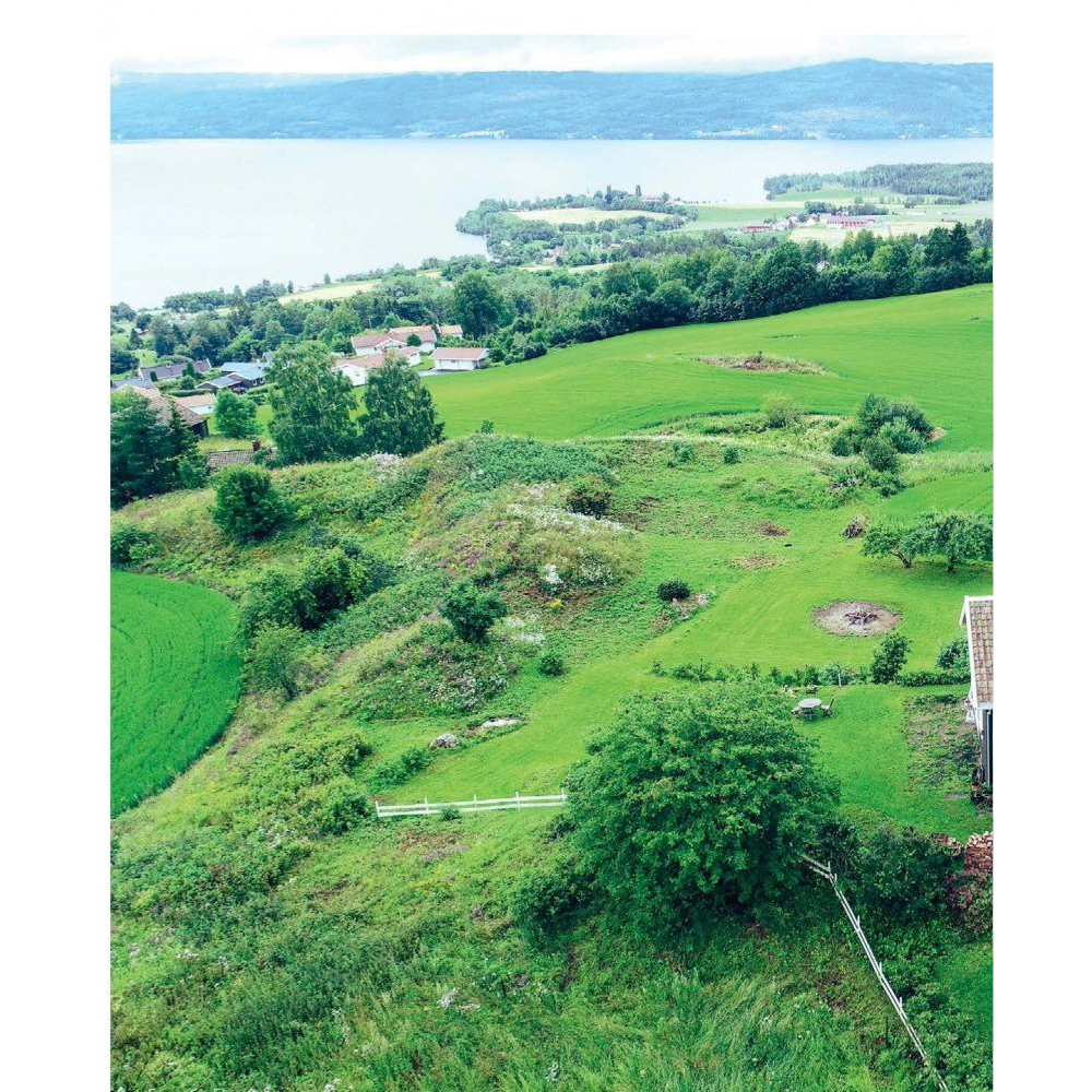 Книга "Urban Jungle. С любовью к растениям", Андерс Рёйнеберг, Эрик Шервен - 2