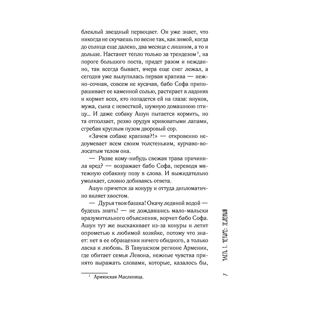 Книга "Молчание цвета", Наринэ Абгарян - 7