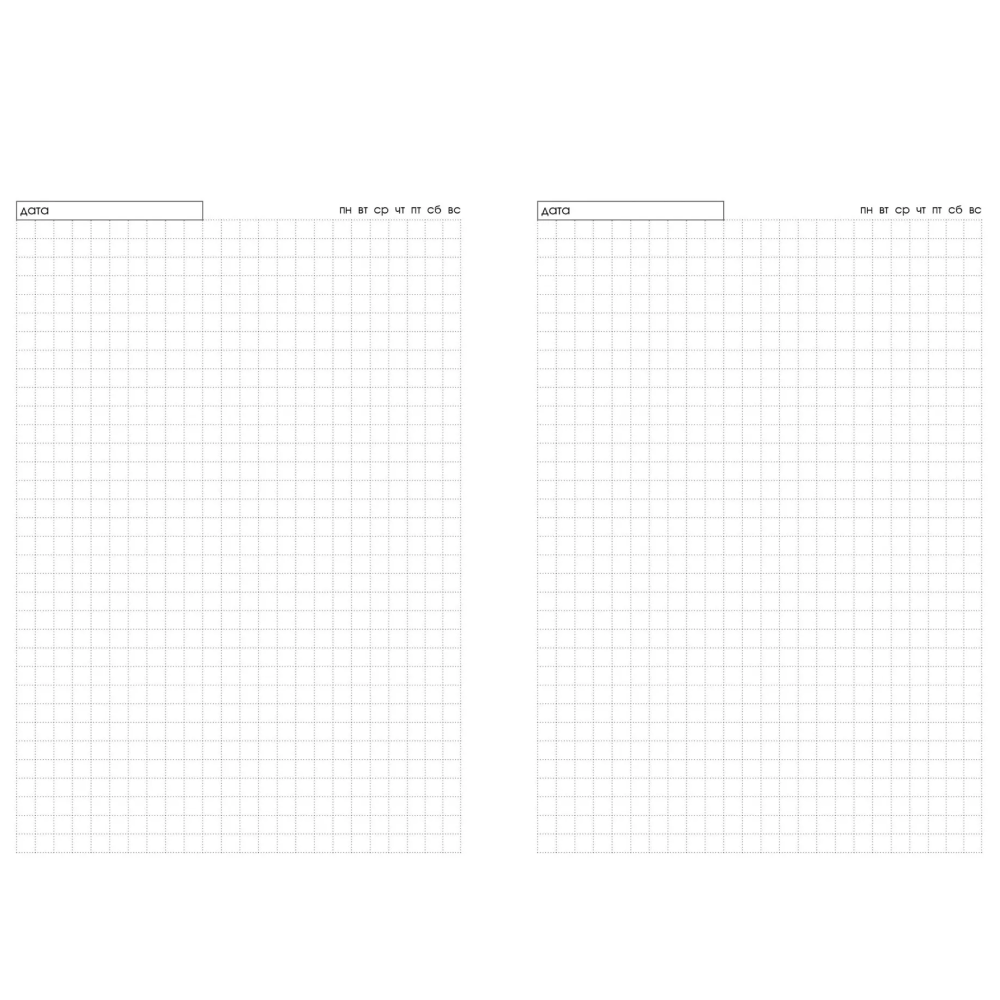 Ежедневник недатированный "Creator. Honey Myrtles", A5, 128 листов, желтый - 2