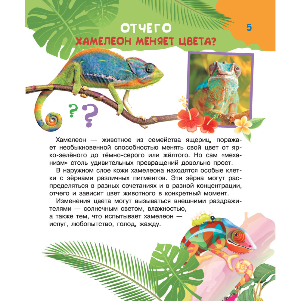 Книга "Почему, зачем и как? Самые интересные детские вопросы", Бобков П., Малов В. - 5