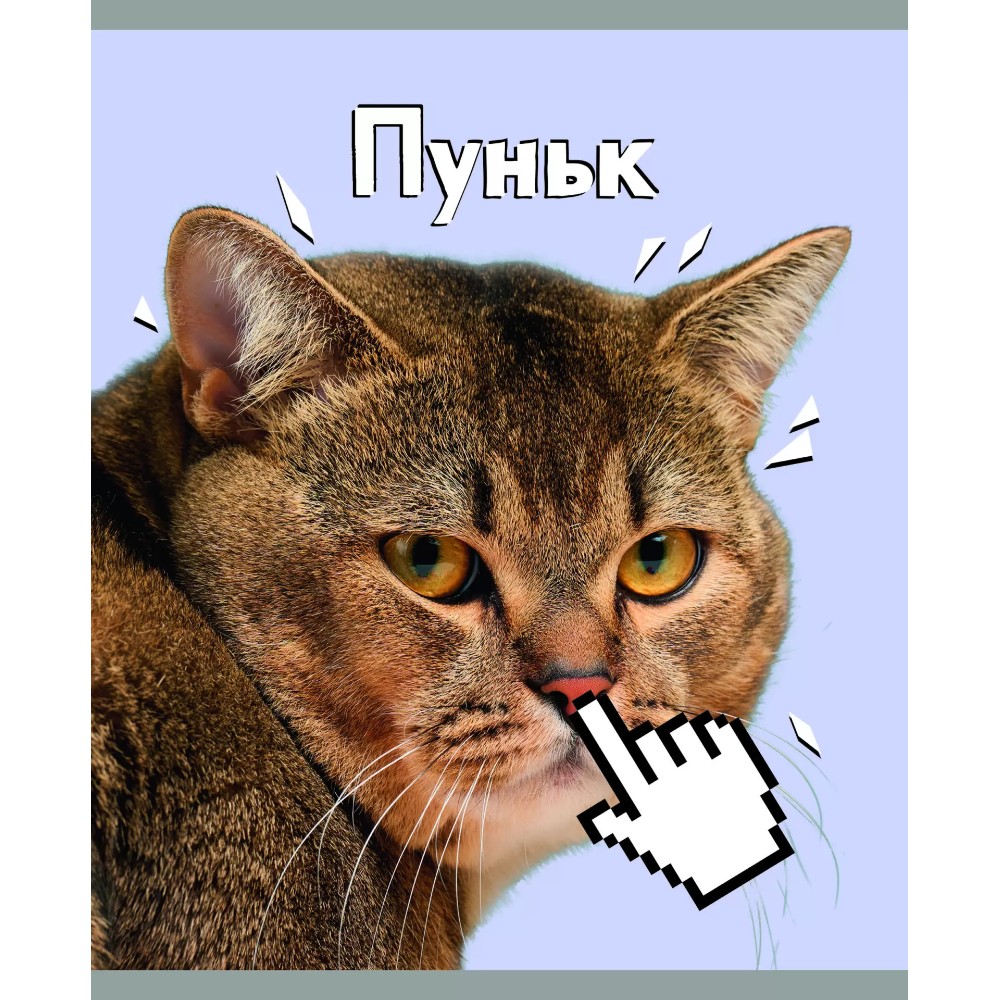 Тетрадь "WEB", А5, 48 листов, клетка, ассорти