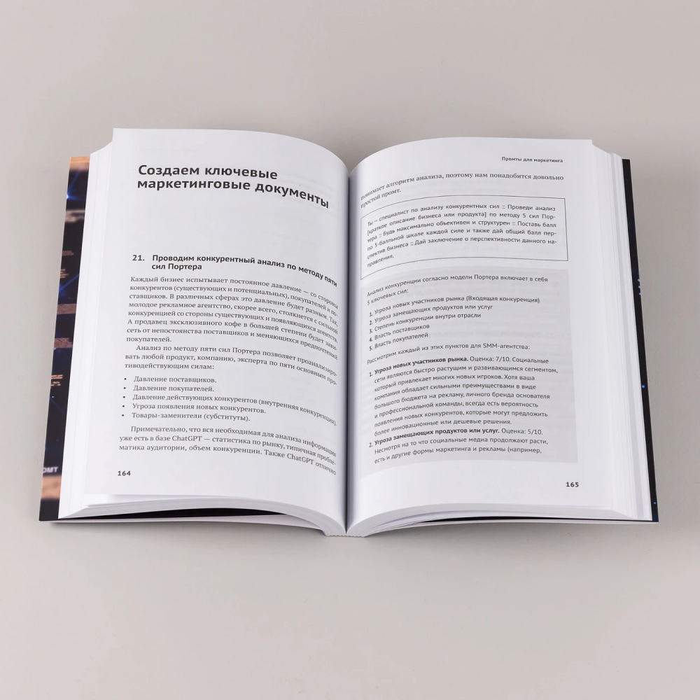 Книга "ChatGPT на каждый день. 333 промта для бизнеса и маркетинга", Дамир Халилов - 9
