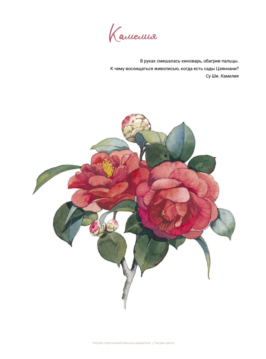 Книга  "Рисуем персонажей маньхуа акварелью", Richu de Xiaotaiyang - 3