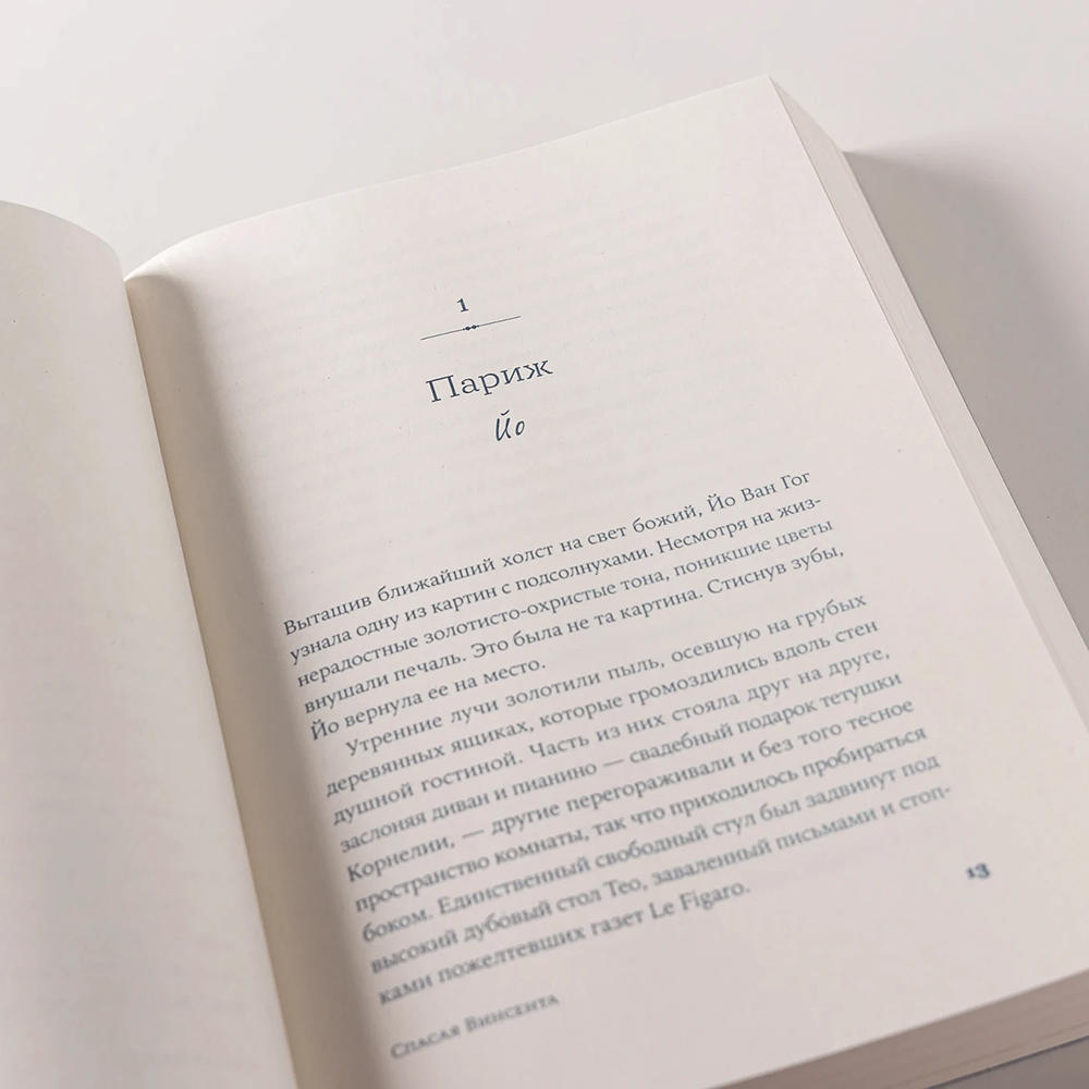 Книга "Спасая Винсента", Джоан Фернандес - 7