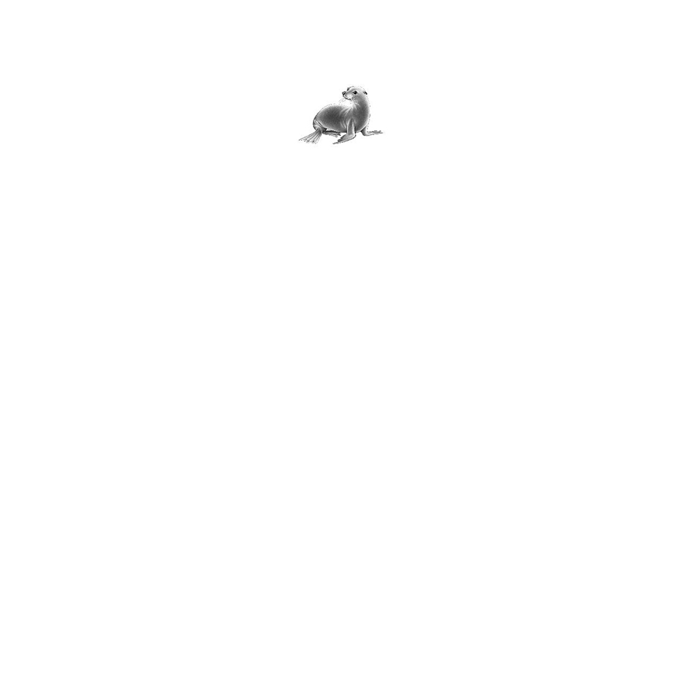 Книга "Опасные волны (#3)", Катя Брандис