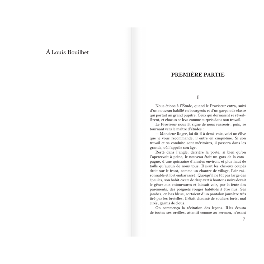 Книга на французском языке "Madame Bovary", Гюстав Флобер - 5