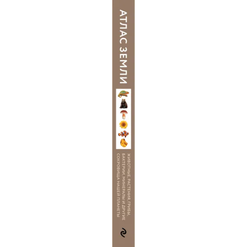 Книга "Атлас Земли, Животные, растения, грибы, бактерии, минералы и другие сокровища нашей планеты", Регина Михайлова - 4