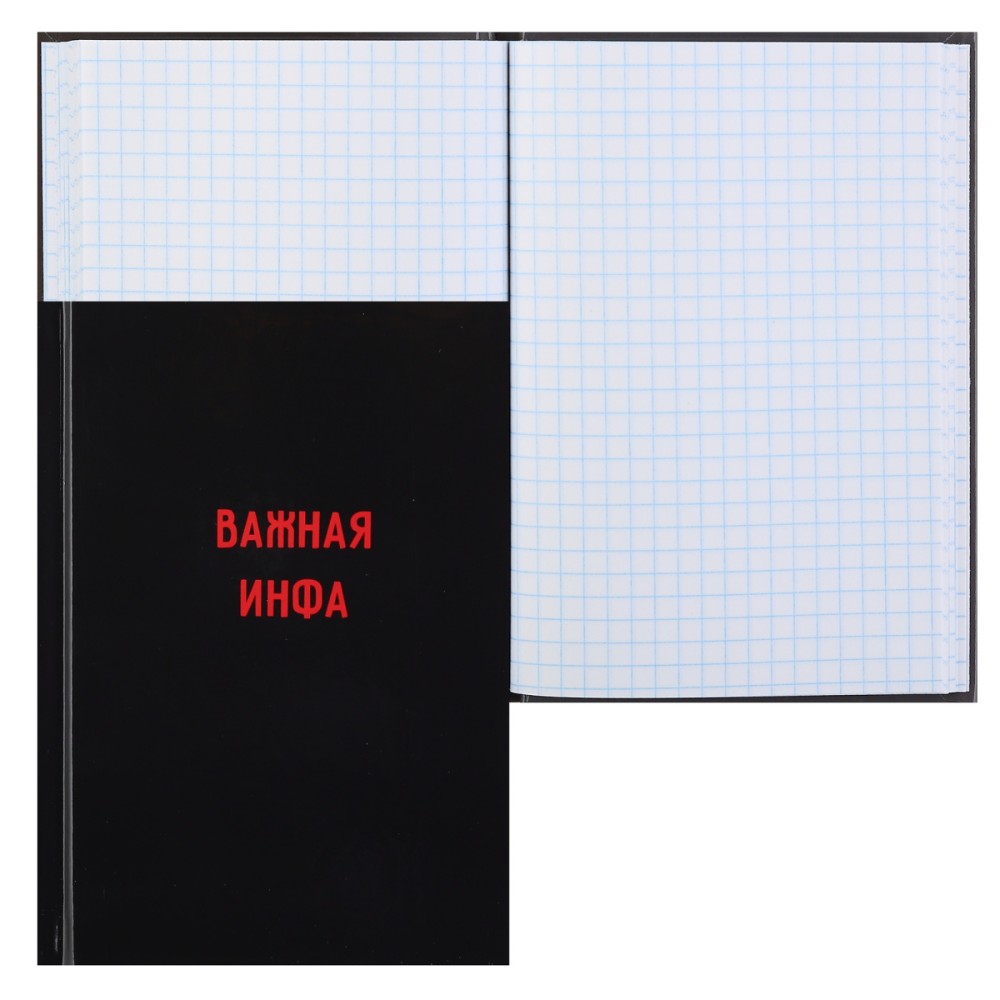 Книга записная  "КОКОС Важная инфа", А6, 64 листов, черный
